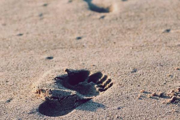 Modern portfolio website design displayed on laptop screen